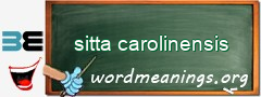 WordMeaning blackboard for sitta carolinensis